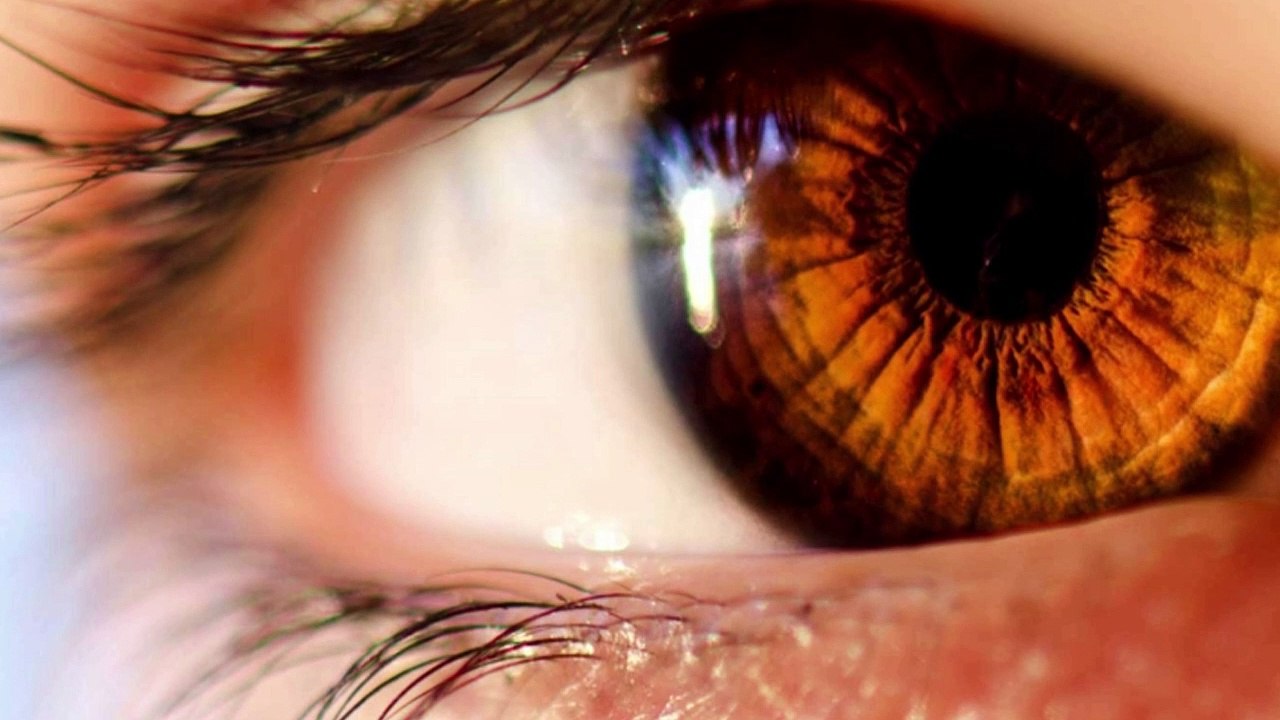 zaid hamid how a man become mountain before every difficulty part 2 | kashmir new today | shaykh atif ahmed  | islam today