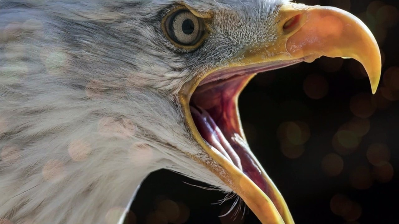 if you want to change the world you must be change yourself | shaykh atif ahmed | zaid hamid