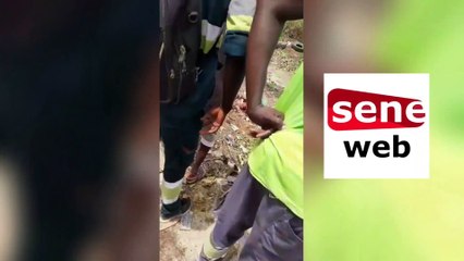 Découverte des restes de 2 chevaux décapités et dépecés