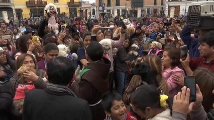 A Lima, nella chiesa di San Francesco, la benedizione degli animali