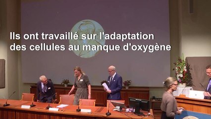 Le Nobel de médecine décerné aux Américains William Kaelin et Gregg Semenza et au Britannique Peter Ratcliffe