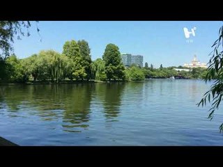 #ElHeraldoTV ¡Te explicamos la noticia con #PalitosyBolitas! Dale clic.