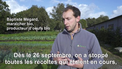 Dix jours après Lubrizol, l'inquiétude d'un maraîcher bio près de Rouen