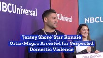 Ronnie Ortiz-Magro Of The 'Jersey Shore' Arrested