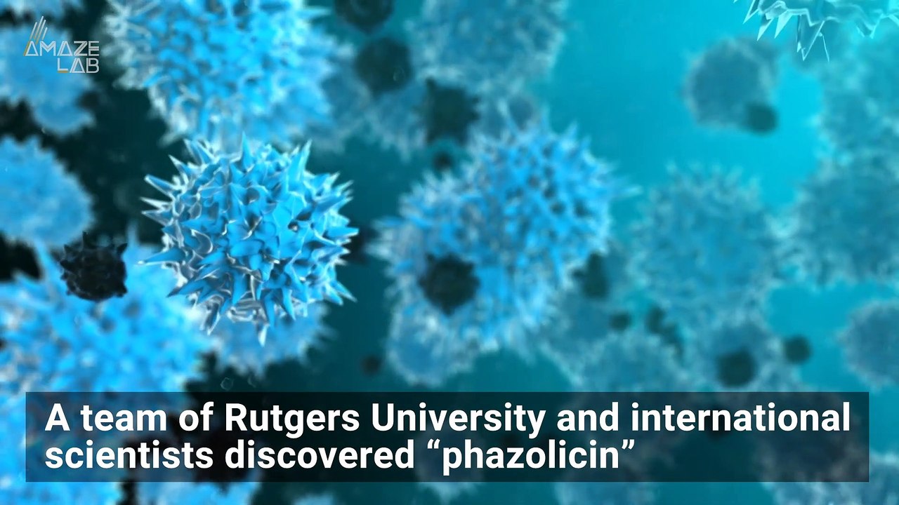 New Antibiotic Discovered in Mexico’s Tropical Forest