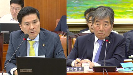 하나은행, 금감원 검사 직전 DLF 내부자료 삭제 / YTN