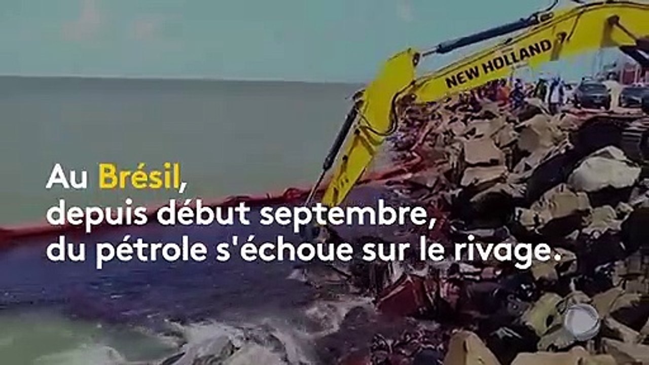 Brésil : des centaines de plages souillées par de mystérieuses nappes de pétrole