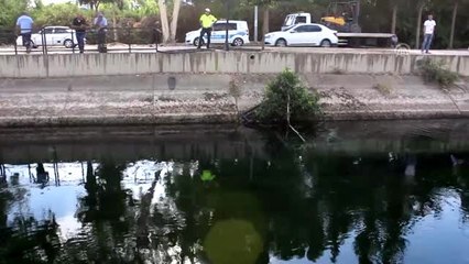 Otomobil sulama kanalına düştü