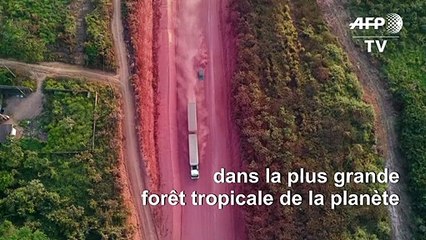 Sur la route à travers l'Amazonie, l'asphalte mange la forêt