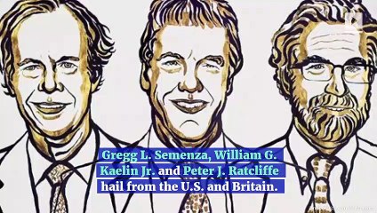 Nobel Prize in Medicine Is Awarded for Cell Discovery