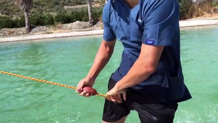 Doctor Brushes Teeth while Riding Wave with his Dog