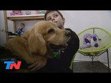Titán, el perro entrenado para ayudar a chicos en la cámara gesell