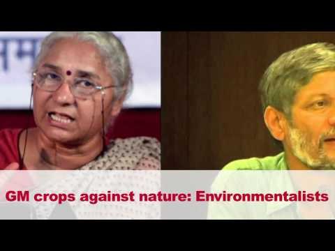 Genetically-modified mustard gets GEAC nod for cultivation