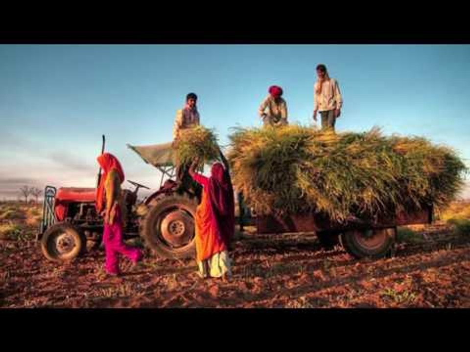 Agri Exports Crash