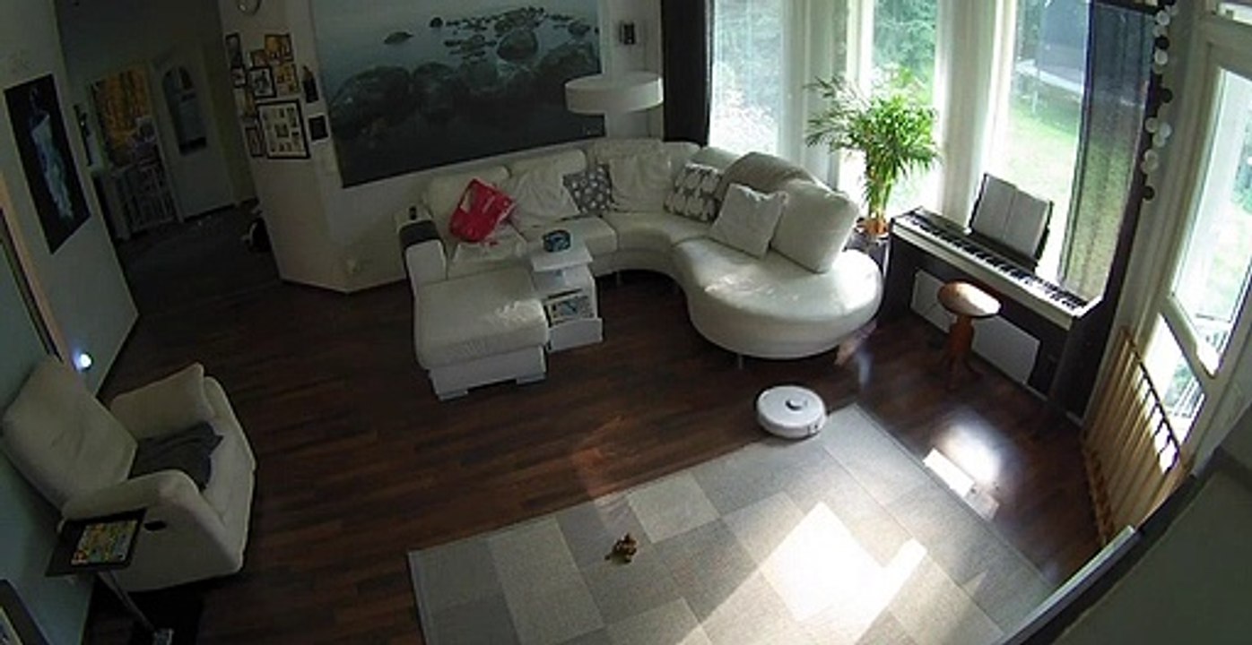 Robot aspirateur, il étale une crotte de chien dans le salon !