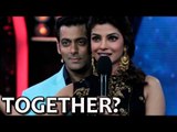 Salman Khan & Priyanka Chopra come TOGETHER? | Sultan | SpotboyE