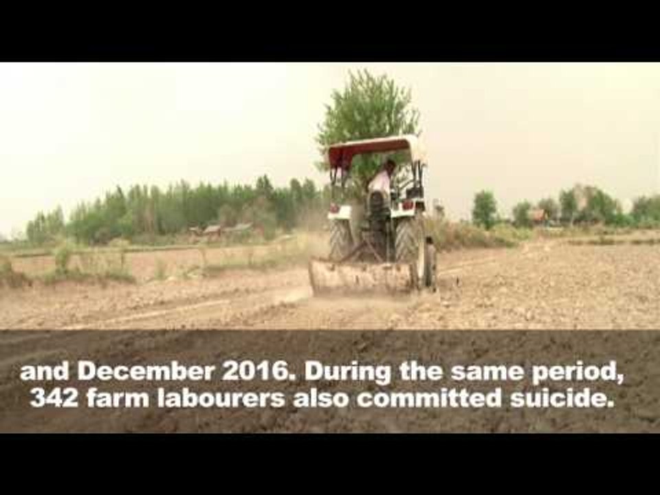 Punjab's Fields of Agony