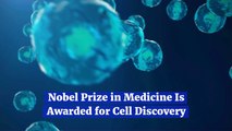 A New Cell Discovery Leads To Nobel Prize In Medicine