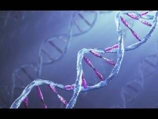 DNA Bill: Strain of Concerns