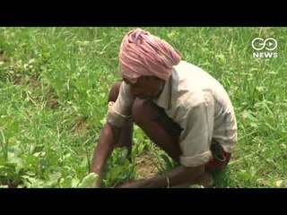 Farming Sector Under Stress