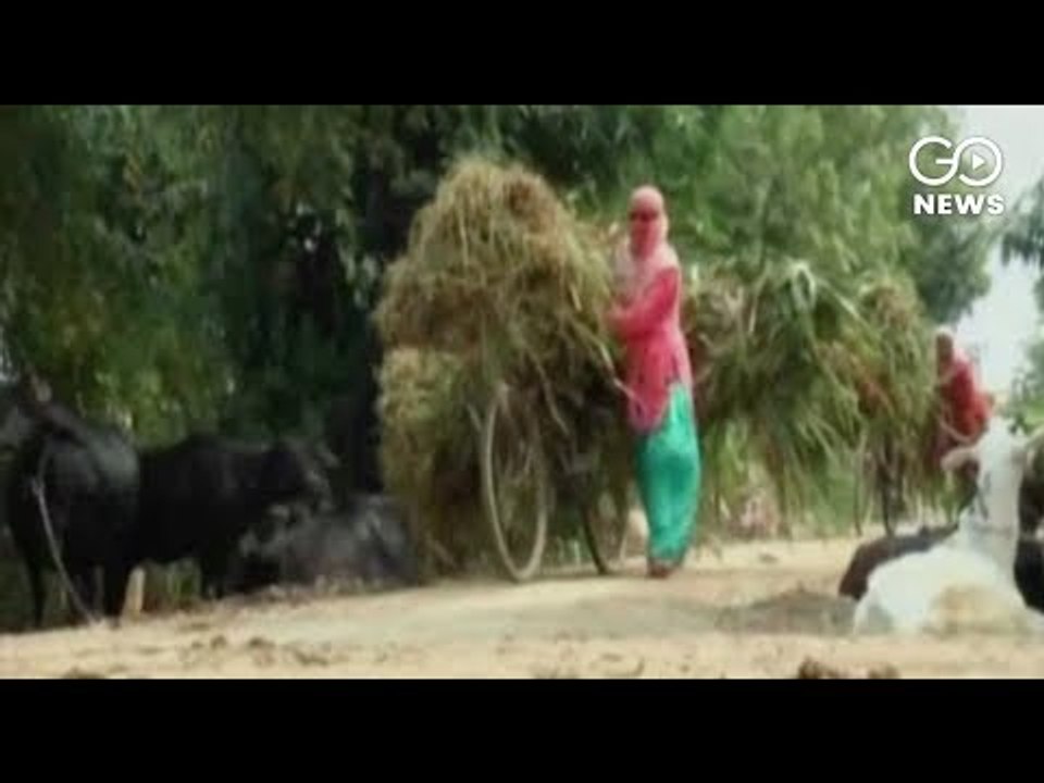 UP Loan Waiver Ridicule