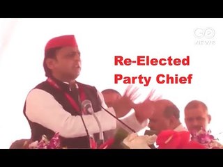 Akhilesh Re-Elected SP Chief