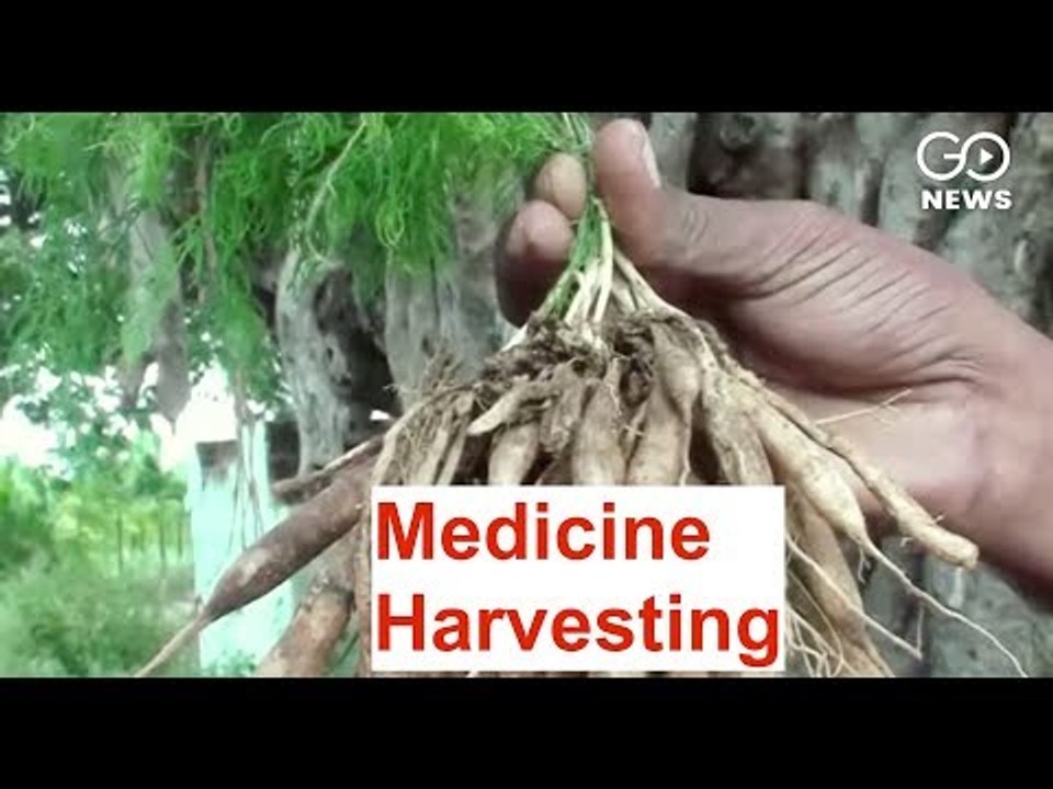 Medicine Farming