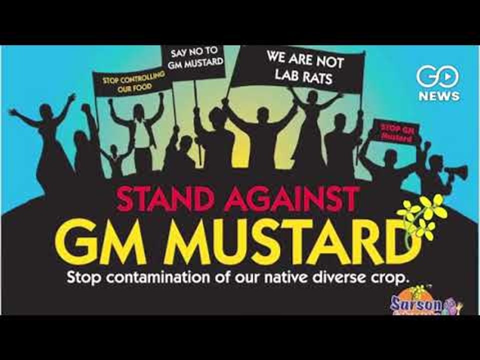 Hit By GM Regulations