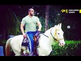 Ouch! Salman Khan BITTEN by a Horse | Sultan Movie | SpotboyE