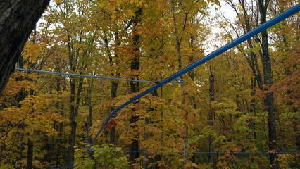 Entreprise acéricole: deux fois plus imposé pour vendre à ses enfants