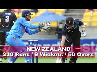 India Tame Kiwis