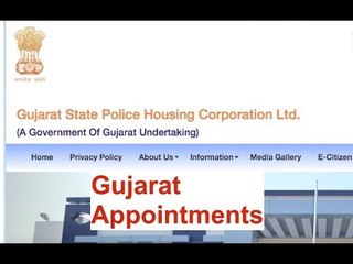 Gujarat Goodies Galore