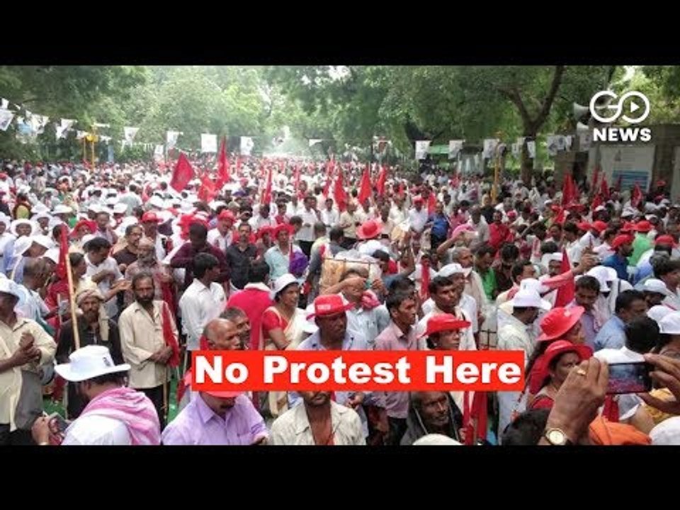 Protestors In No Man's Land