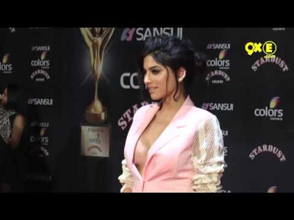 Sapna Pabbi 'Cleavage Show' At Stardust Awards 2015 Red Carpet