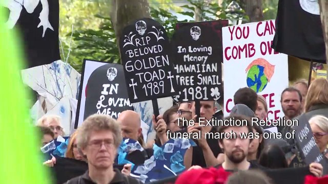 Extinction Rebellion protesters organize funeral procession, pour fake blood over capitalist bull