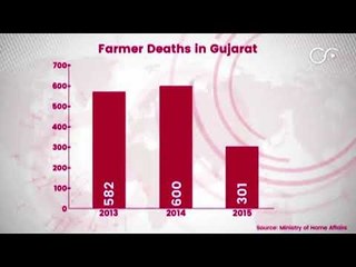Gujarat Farmer Suicides Up