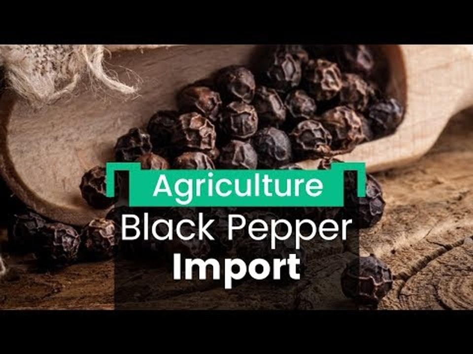 Black Pepper Bungle