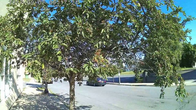 29 Fatima Pilgrimage walk across USA #78 Aureisville NY Shrine over flowing with Holy Blood, come here