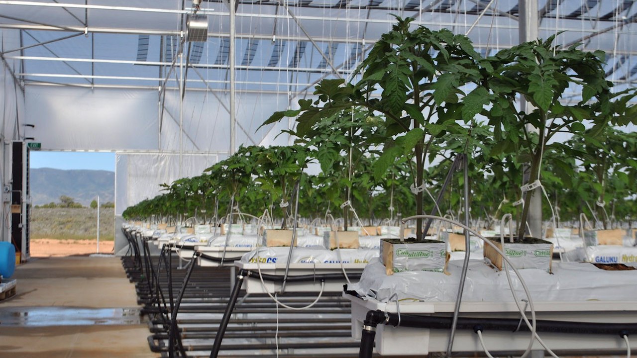 These Cardboard Greenhouses Could Feed Millions video Dailymotion