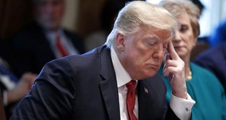 Ünlü isimlerden Trump'ın Türkiye ile ilgili sözlerine tokat gibi cevap: Isıracak köpek havlamaz