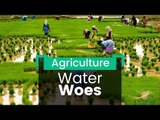 Karnataka Farmers Demand Water