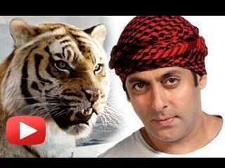 Salman Khan's SHER KHAN is ON | Latest UPDATE | SpotboyE
