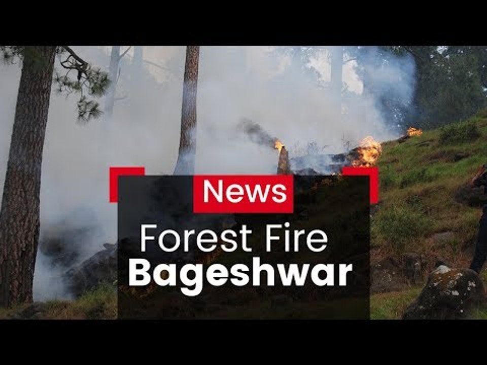 Forest Fire Continues