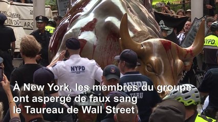 En Amérique du Nord, Extinction Rebellion cherche à frapper les esprits