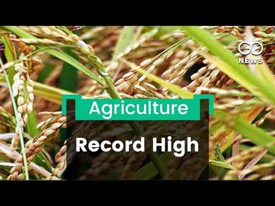 Record High