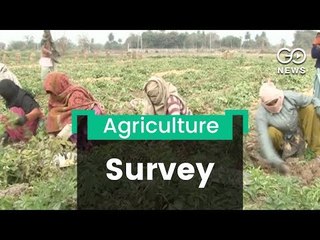 Farm Labourers' Neglect