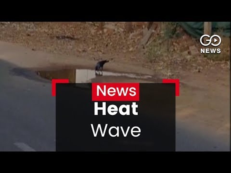 Heat Wave Onslaught