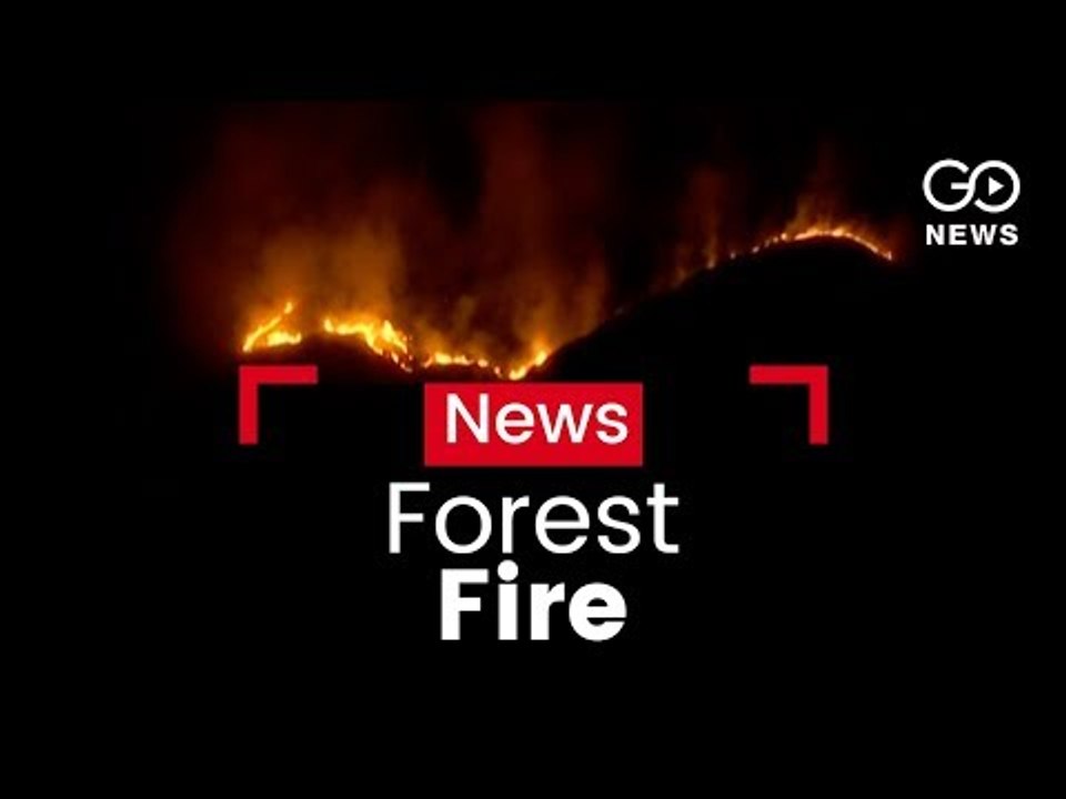 Fatal Forest Fire