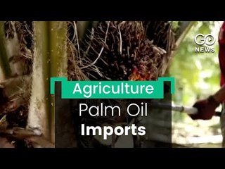 Palm Oil Imports To Rise