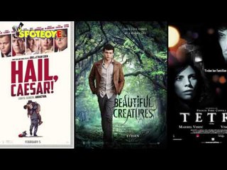 Alden Ehrenreich is the new Han Solo | SpotboyE